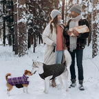 Kuoser Warm Dog Coat, Waterproof Dog Jacket for Extra Large Dogs, Adjustable Durable XXL Doggie Winter Coat Reversible Puppy Cold Weather Apparel from Small to Large Breed, Purple XXL
