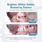 Dental Powder for Dogs - Plaque Control & Tartar Remover, Breath Freshener with Probiotics, Vitamins & Natural Extracts - Perio Support Powder for Dogs, 2.82 oz (80g)