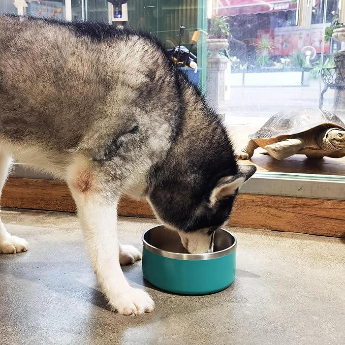LIHONG Stainless Steel Dog Bowls for Large Dogs,Dog Food Water Bowls with Non Slip Rubber Bottom,Pet Feeding Bowl,Double Wall Insulated,Rustproof(64oz,Deep Green)