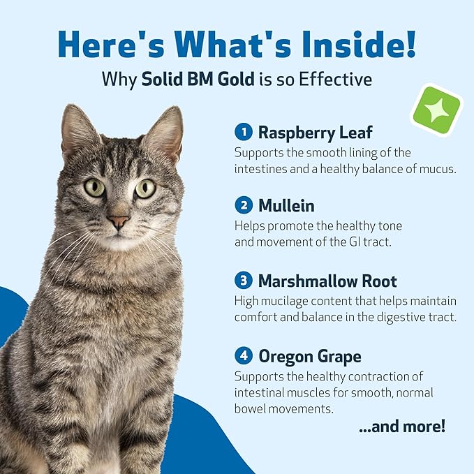 Pet Wellbeing Solid BM Gold for Cats - Supports Healthy Digestive Function, Solid Stools, Normal Bowel Movements, Bayberry - Veterinarian-Formulated Herbal Supplement 4 oz (118 ml)