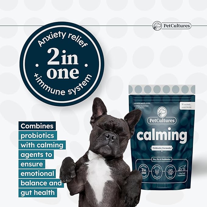 Calming Synbiotic Formula - with L-Theanine, L-Tryptophan, Probiotics, and B-Vitamins in 30 Packs