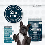 Calming Synbiotic Formula - with L-Theanine, L-Tryptophan, Probiotics, and B-Vitamins in 30 Packs