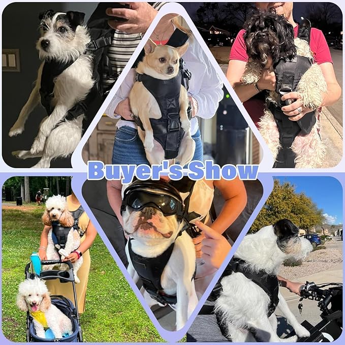 YUDODO Front Pet Carrier Backpack for Small Dogs and Cats, Secure and Breathable Mesh, Ergonomic Support, Adjustable for Walking, Hiking, or Travel (Black S)