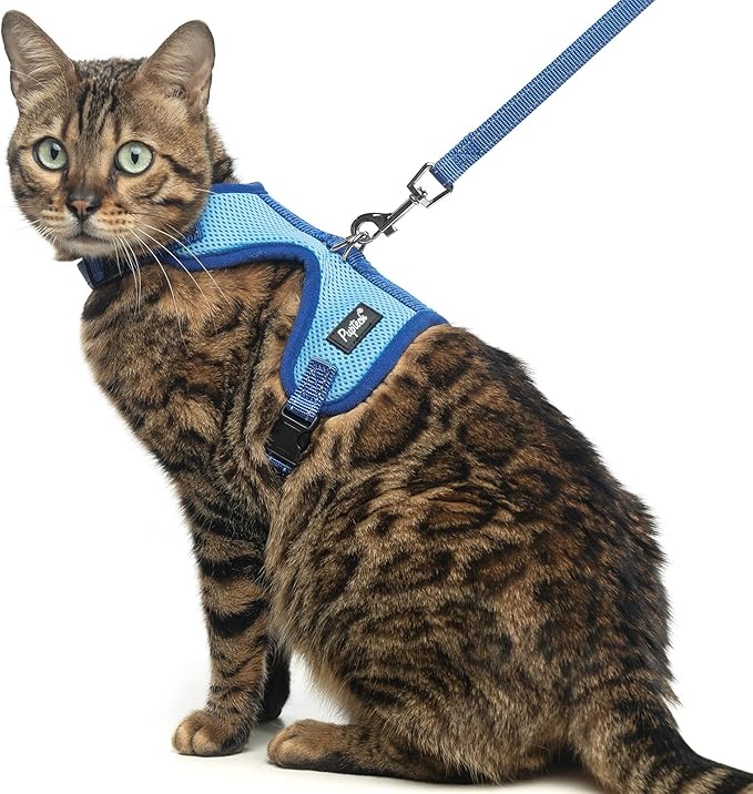 PUPTECK Cat Harness and Leash Set Escape Proof, Reflective Adjustable Soft Mesh Kitten Vest Harness for Walking Travel, Blue, M