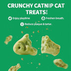 Just Try 13.4 OZ Crunchy Cat Treats Catnip Treats for Cats with Digestive Support, Natural Ingredients Kitten Treats with Real Salmon, Healthy Feline Snacks Training Biscuits Dental Care