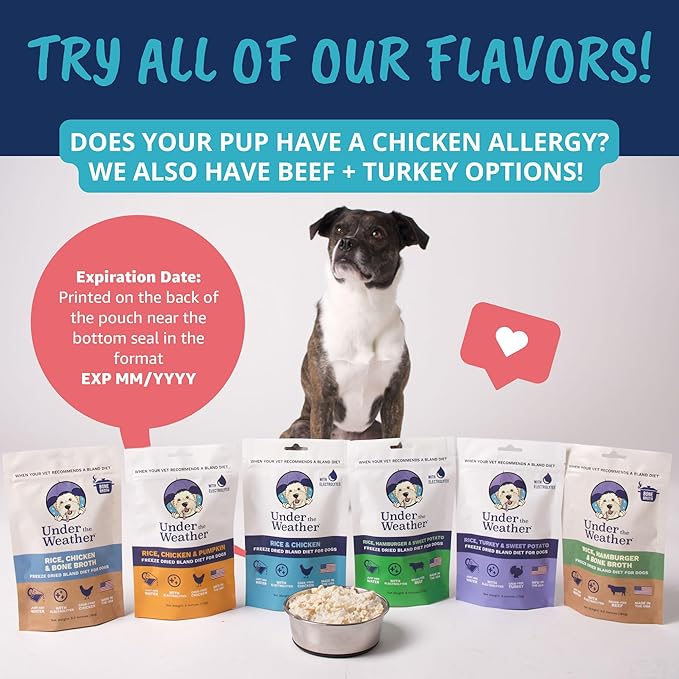 Under the Weather Bland Diet for Dogs | Easy to Digest for Sick Dogs | Always Be Ready | Contains Electrolytes - All Natural Freeze Dried 100% Human Grade Meats | 6 Pack - Chicken, Rice - 6oz