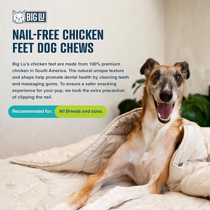 Big Lu – Nail-Free Chicken Feet Dog Chews, 100% Natural Single-Ingredient Treats, Rawhide-Free, Long-Lasting, Rich in Glucosamine and Chondroitin for Joint Health (30 Count)