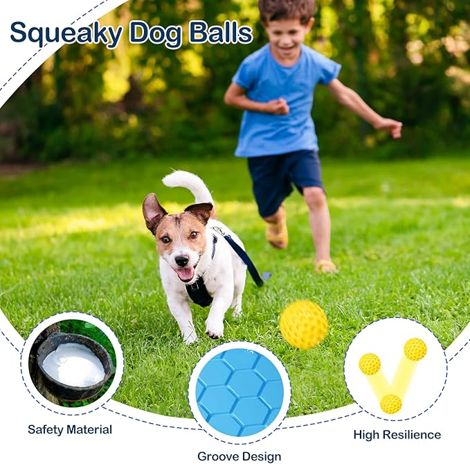 2 Pack Indestructible Squeaky Dog Balls for Aggressive Chewers, Durable Rubber Chew Toys for Teething, Anxiety Relief Perfect for Large, Medium Breeds, Indoor Outdoor Use