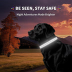 LED Dog Collar with Metal Buckle - USB Rechargeable Glow Collar for Dogs, Waterproof Light Up Dog Collar w/Reflective Strips - Adjustable Night Safety Collars by PetIsay(White,Medium)