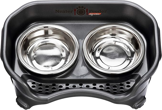 Neater Feeder Express Mess Proof Cat Bowls Elevated, No Spill Feeding Station, Stainless Steel Dishes for Food and Water, Raised Bowls for Indoor Cats, No Fatigue Whisker Friendly Dish, Black