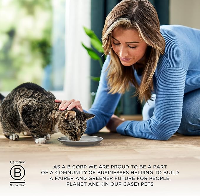 Reveal Entrées Natural Wet Cat Food Paté, Grain-Free with Added Vitamins & Minerals, Carrageenan-Free Protein, Fish Variety Selection Paté (12 x 2.47 oz Cans)