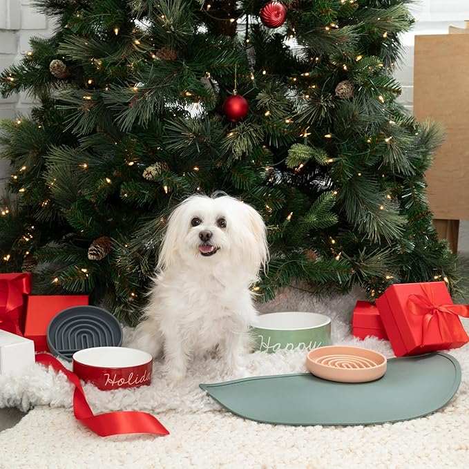 Waterproof Silicone Pet Food Mat - Non-Slip, Spill-Proof Feeding Mats for Floors, Raised Edge Design, Easy-to-Clean, Rubber Mat for Dog & Cat Bowls, 28" Across x 14" Deep, Large-Spruce