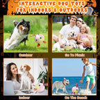 QDAN Rabbit Dog Toys Soccer Ball with Straps, Easter Day Dog Toys for Medium Small Dogs (6 Inch)