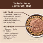 Wellness CORE+ Digestive Health Pate Adult Wet Cat Food, Natural, Protein-Rich, Grain Free, 3 Ounce, 12 Pack (Chicken & Turkey Variety Pack)