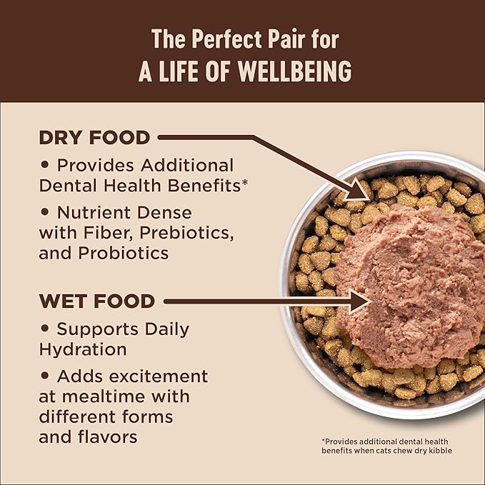 Wellness CORE Pate Kitten Wet Cat Food, Natural, Protein-Rich, Grain Free, 3 Ounce, 12 Pack (Chicken & Salmon)