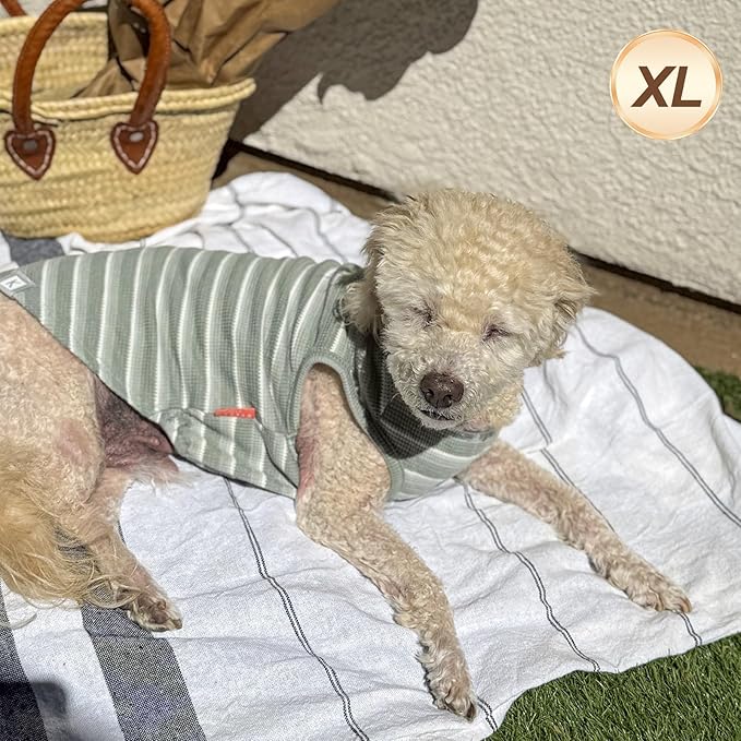 KYEESE 2Pack Waffle Dog Shirts for Small Dogs Stretchy T-Shirts Lightweight Tank Top Sleeveless Striped Vest Breathable Pet Tee, X-Large, Green+Striped