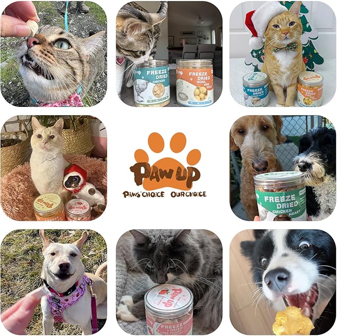 PAWUP Freeze Dried Cat & Dog Treats, Natural Quail Egg Yolk, High Fiber Pumpkin Added, High-Protein Pet Snacks for Coat & Gut Health, 3.5 oz