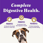 Halo Holistic Vegan Dog Food, Plant-Based Peanut Butter Recipe, Dry Dog Food, Complete Digestive Health, Kibble for Adult Dogs, 10 lb Bag