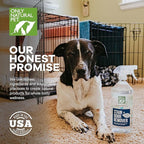 Only Natural Pet Enzyme Powered Stain & Odor Eliminator - Professional Pet Urine Pee Cleaner Deodorizer For Dogs - Hardwood Floors Carpets Upholstery - Fresh Mandarin Orange & Green Tea Scent - 32Floz