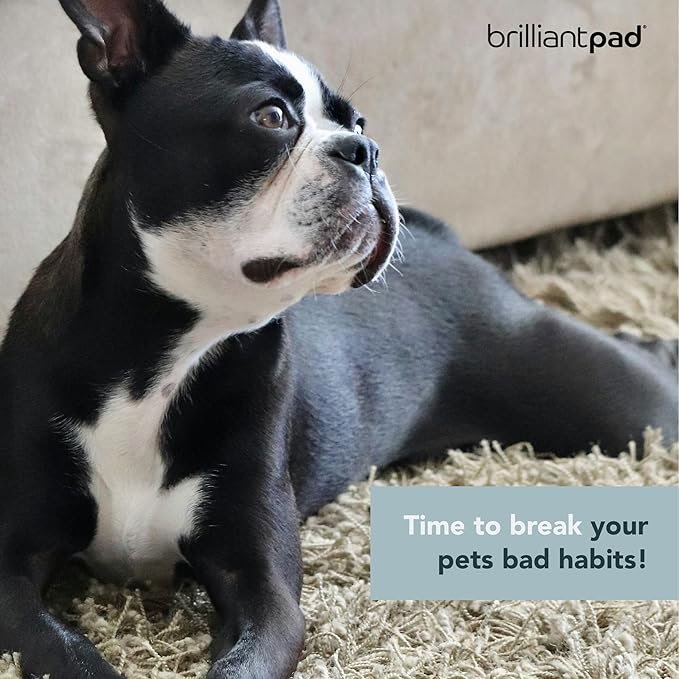 BrilliantPad Puppy Training Spray Kit | No Chew Deterrent, Pet Stain Remover & Odor Eliminator, Natural Attractant & Repellent | Stop Biting, Enzyme Cleaner for Dog & Cat Pee | 3 Bottles, 4oz Each