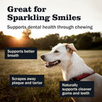 Redbarn Pet Products All-Natural Small 6" Beef Collagen Sticks for Dogs - Long Lasting Low-Odor Alternative to Traditional Rawhide & Bully Sticks - Supports Healthy Joints, Skin, & Coat - 5 Pack