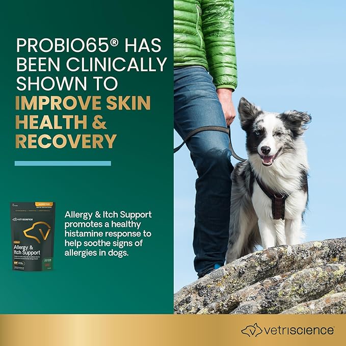 VetriScience Allergy & Itch Support Chews, Skin and Coat Supplement for Dogs, Allergy Chews for Itching, Scratching, and Licking, Support Skin and Immune Health, Duck, 75 Count