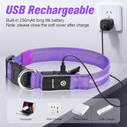 LED Dog Collar, Light Up Dog Collar, USB Rechargeable - Brightest Dog Lights for Night Walking, 6 Light Modes, Adjustable for Dog Safety(Large, Purple)
