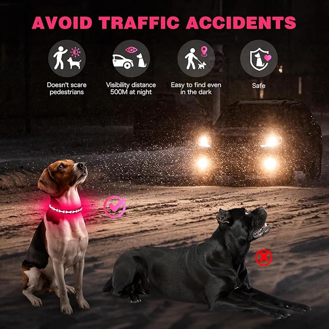 Flashseen Light Up Dog Collars, Adjustable LED Dog Collar Rechargeable, Glow in The Dark Dog Collars Super Bright Glow Collars for Night Walking for Dogs (Pink, Small)