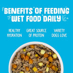 Weruva Classic Dog Food, Variety Pack, Chicken Free, Just 4 Me, Wet Dog Food, 14oz Cans (Pack of 12)