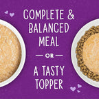 Stella & Chewy's Carnivore Cravings Purrfect Paté - Premium Grain-Free Wet Cat Food - Tuna & Pumpkin Recipe - High Protein with Bone Broth - Perfect for Picky Eaters - 2.8oz Cans (24 Pack)