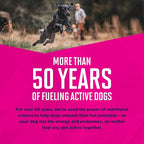 EUKANUBA Adult Large Breed Dry Dog Food, 40 lb Bag