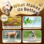 (2 Pack) POPPAW Dog UTI Treatment & Urinary Tract Support – Natural Herbal Drops with High Cranberry Extract, Vitamin B6 for Urine pH Balance, Bladder & Kidney Function, Chicken Flavor, 2 OZ