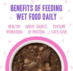 Weruva B.F.F. OMG - Best Feline Friend Oh My Gravy!, Tuna & Duck Devour Me with Tuna & Duck in Gravy Cat Food, 3oz Pouch (Pack of 12)