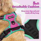 rabbitgoo Dog Harness No Pull with 2 Leash Clips, Adjustable Soft Padded, Reflective Oxford No Choke Pet Vest with Easy Control Handle for Large Dogs, Hot Pink & Turquoise, XL