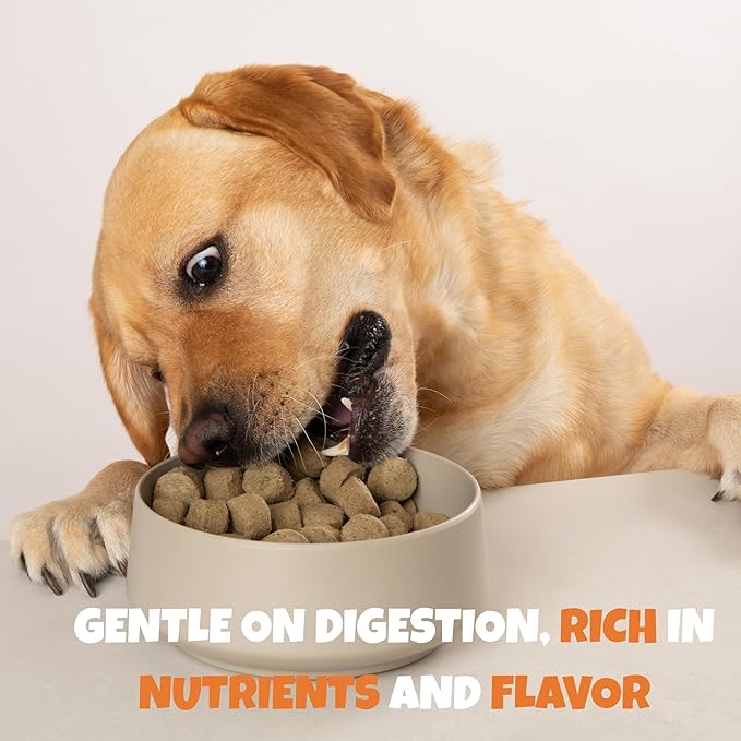 Visionary Pet Foods Chicken Freeze Dried Dog Treats - 155x Medallions Keto and Diabetic Friendly - Additive Free, Made in USA Low Carb, High Protein - Healthy Dog Training Treats, Resealable Bag