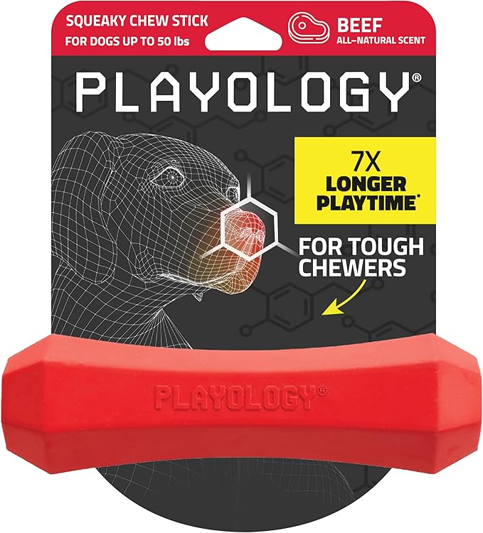 Playology Squeaky Dog Toy Fetch Stick | Durable Rubber Toys for Interactive Play | Beef Scented Fetch Stick for Medium Dogs | Floating Dog Toy Made from Non Toxic Materials