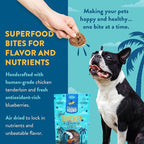 Just Chicken & Blueberry Chips | Two Premium Ingredient & Healthy Dog Treats Rich in Antioxidants | All Natural Canine Rewards | All Breed Sizes Dog Training Treats | Made in USA - 3oz