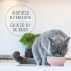 Feline Natural High Protein Dry Cat Food, Freeze-Dried Diet with 98% Meat, Organs & Seafood, No Peas, Grains, or Artificial Additives, Made in New Zealand, Lamb & King Salmon, 3.5oz (Pack of 2)