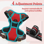 rabbitgoo Dog Harness No Pull with 2 Leash Clips, Adjustable Soft Padded, Reflective Oxford No Choke Pet Vest with Easy Control Handle for Puppy, Red & Teal, XS