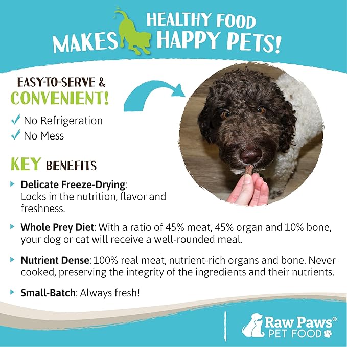 Raw Paws Freeze Dried Dog Food & Cat Food - Beef Recipe, 16-oz - Made in USA - Freeze Dried Raw Dog Food - Raw Food for Dogs - for Cats