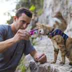 Nulo Freestyle Grain-Free Perfect Purees Premium Wet Cat Treats, Squeezable Meal Topper for Felines, High Moisture Content to Support Cat Hydration, 0.5 Ounce, Tuna & Scallop