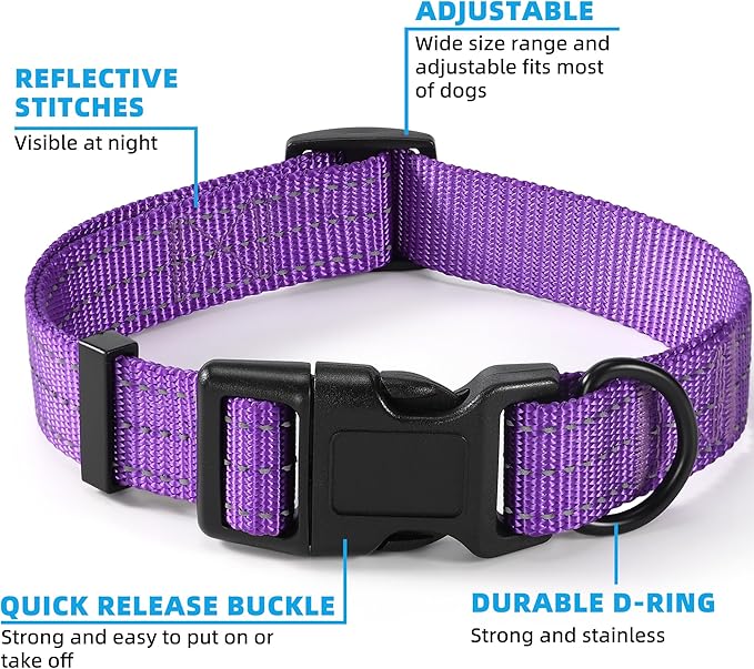 Mile High Life Dog Collar | Nylon Reflective Dog Collars | Light Weight Puppy Collars | Purple Dog Collars for Medium Dogs (Solid Purple, Medium)