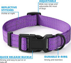 Mile High Life Dog Collar | Nylon Reflective Dog Collars | Light Weight Puppy Collars | Purple Dog Collars for Small Dogs (Solid Purple, Small)