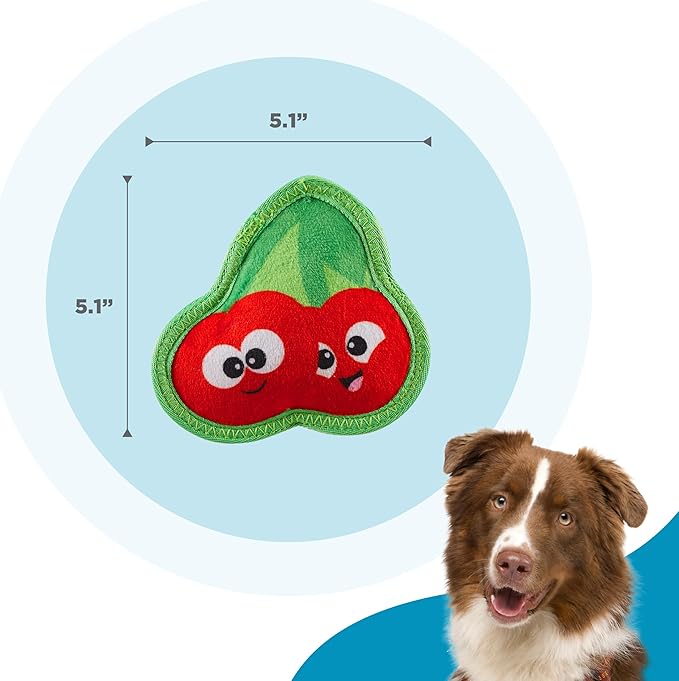 Outward Hound Tough Skinz Durable Squeaky Dog Toy with Two Tough Layers, Cherries, Red, Small