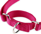Hyhug Martingale Collar for Dogs Large Pink |Escape - Proof Heavy Duty Nylon Durable No Pull, Ideal for Training & Daily Walks