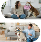 2Pack Dog Toys for Large Dog - Plush Squeaky Medium & Small Dog Toys - Stuffed Animals Puppy Toys - (Monkey+Octopus Pink)