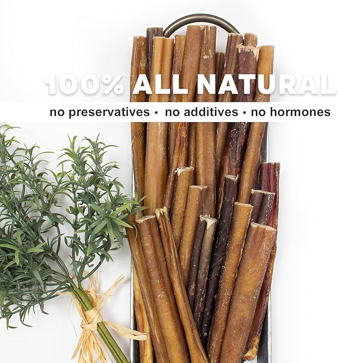 Downtown Pet Supply 6-inch Bully Sticks for Dogs, Pack of 100 - Single Ingredient, Nutrient-Rich and Odor Free Bully Sticks for Dogs - Rawhide Free Dog Chews Long Lasting and Non-Splintering