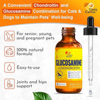 Canis&Cattus Liquid Glucosamine Dogs and Cats – Joint Supplement with MSM & Chondroitin – Mobility & Hip Support for Pets – Beef Flavor – 2oz