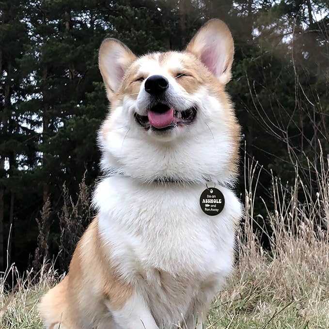 MYLUCKYTAG QR Code Stainless Steel Personalized Dog ID Tag, Engraved Dog Collar Tag for Online Pet Profile and Location Alerts