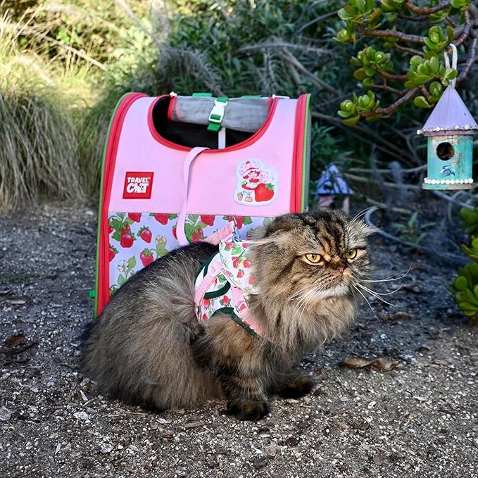 Travel Cat Strawberry Shortcake Harness & Leash Set - Adjustable Fit Mesh Cat Harness with Reflective Strap - Harness for Cats, Kittens for Outdoor (Strawberry Shortcake, Large)
